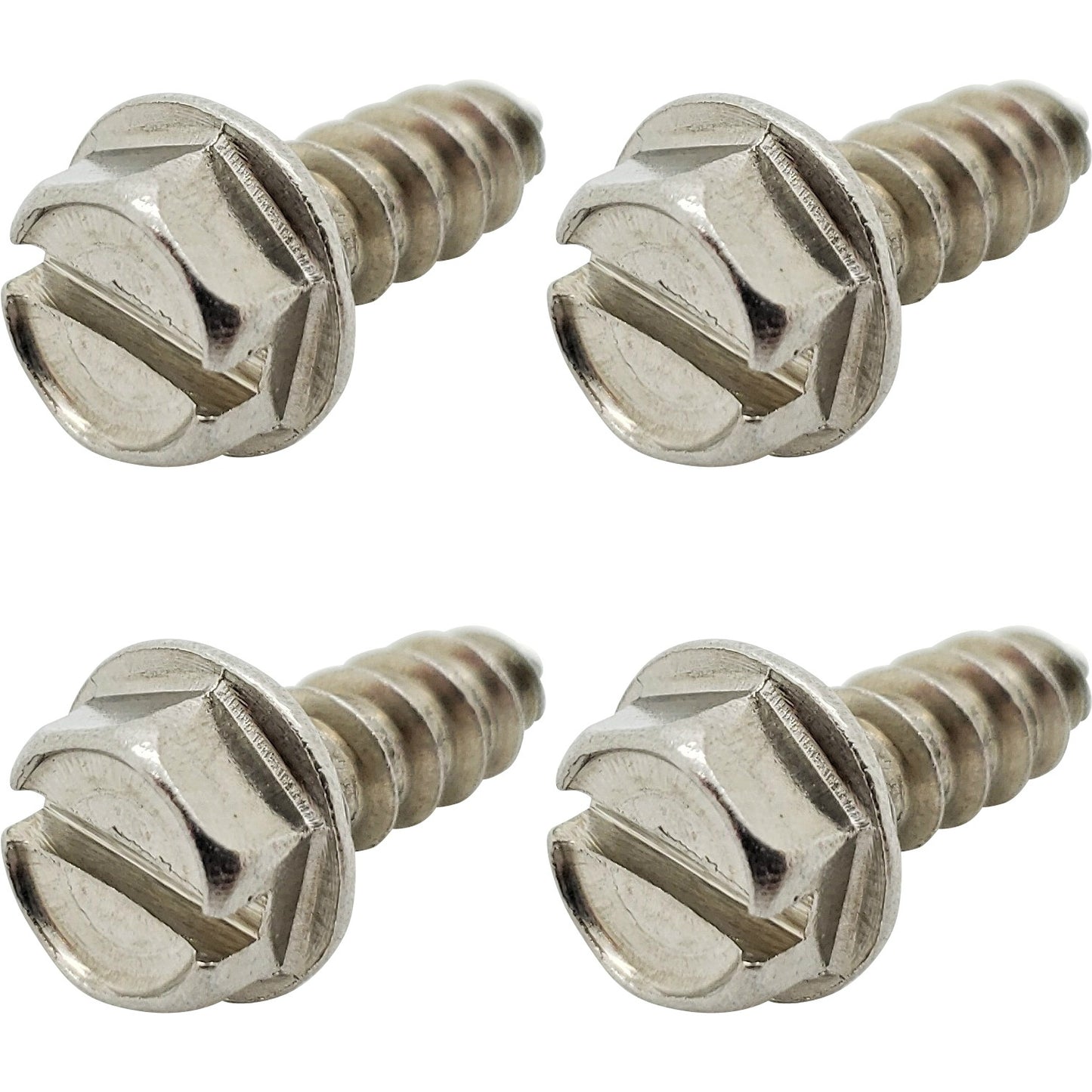 Four (4) Stainless Steel License Plate Screws (BCP253)